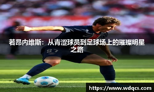 九游娱乐app官网